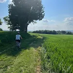 Maison De Village, Route Des Lacs Feriehus *