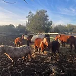Maison De Village, Route Des Lacs Le Bez (Tarn)