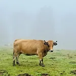 Feriehus Maison De Village, Route Des Lacs