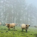 Maison De Village, Route Des Lacs Le Bez (Tarn)