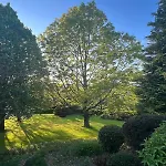 Feriehus Maison De Village, Route Des Lacs Le Bez (Tarn)