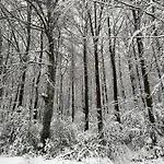 Maison De Village, Route Des Lacs Feriehus