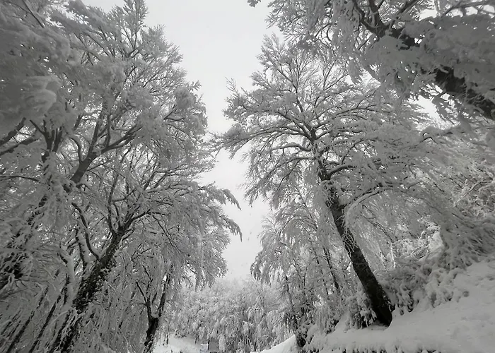 Maison De Village, Route Des Lacs 別荘 Le Bez