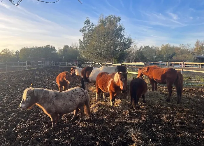 Maison De Village, Route Des Lacs Le Bez