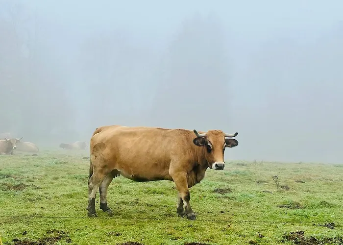 別荘 Maison De Village, Route Des Lacs