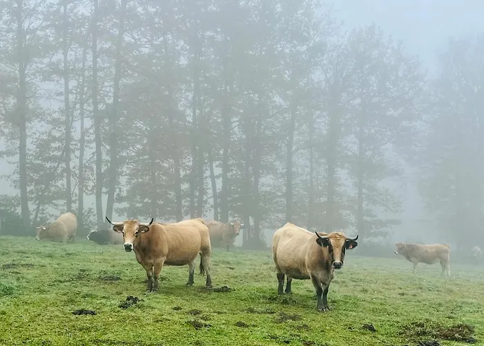 Maison De Village, Route Des Lacs Le Bez