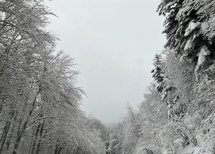 別荘 Maison De Village, Route Des Lacs *