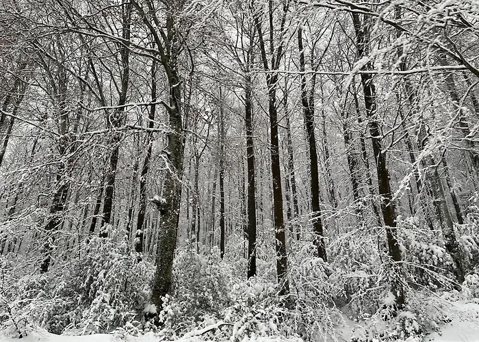 Maison De Village, Route Des Lacs 別荘