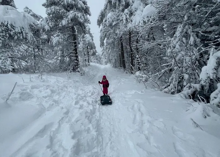 Maison De Village, Route Des Lacs 別荘 *