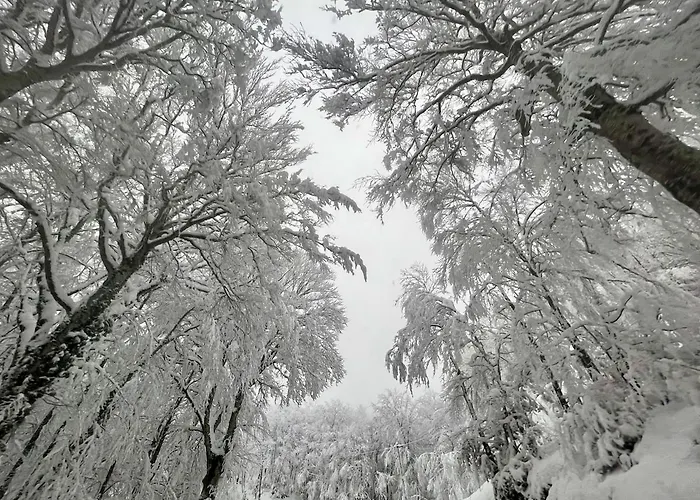 別荘 Maison De Village, Route Des Lacs *